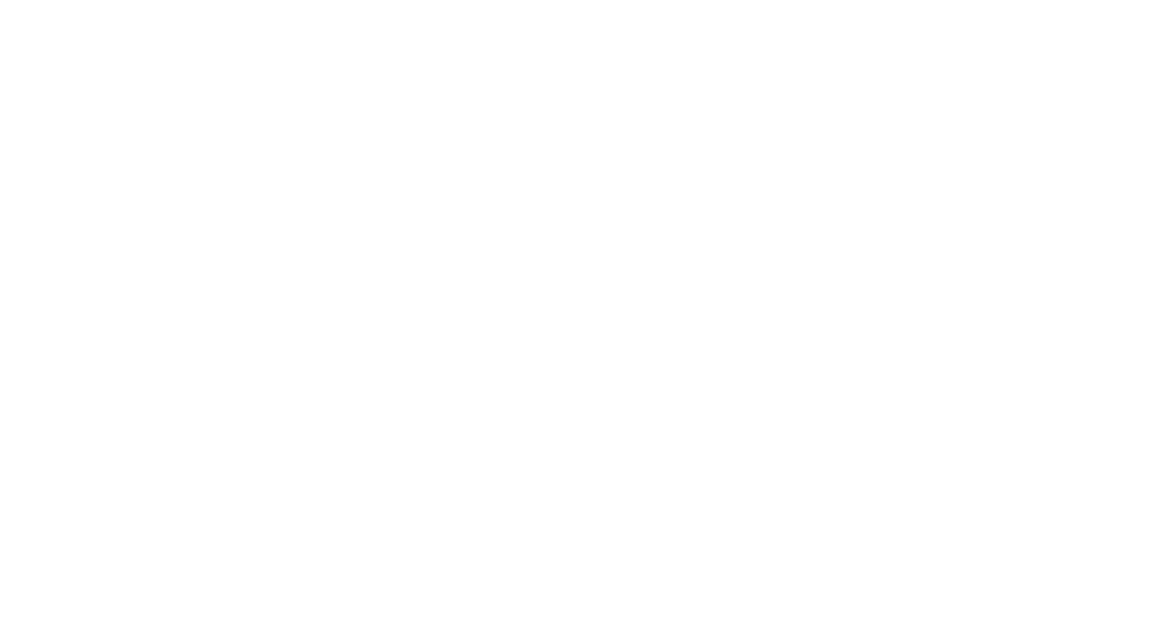 Burri Holzbau AG - Schwarz RGB